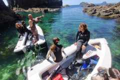 Cavalli_Islands_2-boat-snorkelling-programme