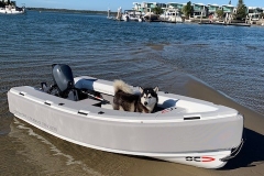 Phifer light grey cover is the only cover we recommend in light colours, even the husky likes it!