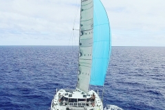 Offshore Cruising with a light weight tender means better performance to all ocean going vessells