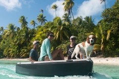 Dogs love our decks in Polynesia
