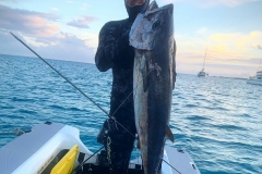 Spearfishing without a worry with your pointy ends or sharp teeth... Dog Tooth Tuna time in Polynesia